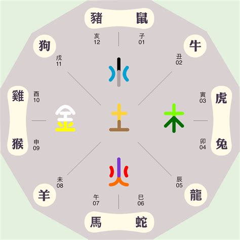 婉五行|婉字的五行属性是什么